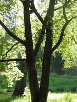 Helsinki summer 2015 020