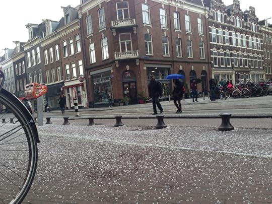 The never-ending Winter :-(