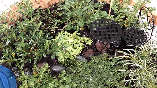 fairy garden up close