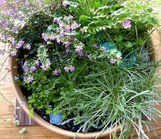 the fairy garden by February