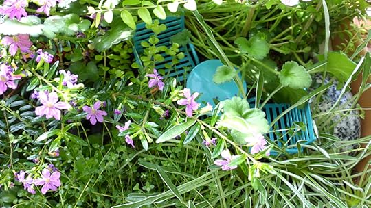 still lots of room to sit