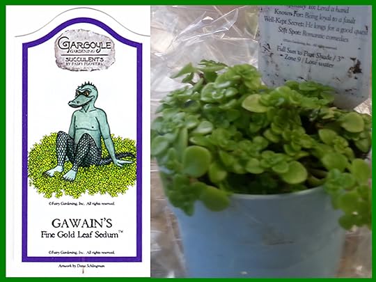 Fine Gold Leaf Sedum