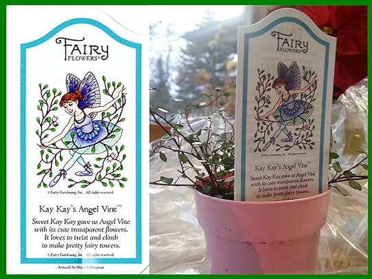 Kay Kay's Angel Vine