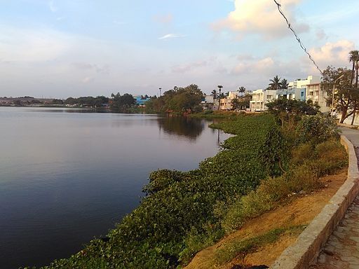 Chitlapakkam-lake-chennai-1-r