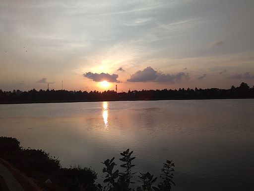 Chitlapakkam-lake-chennai-3-r