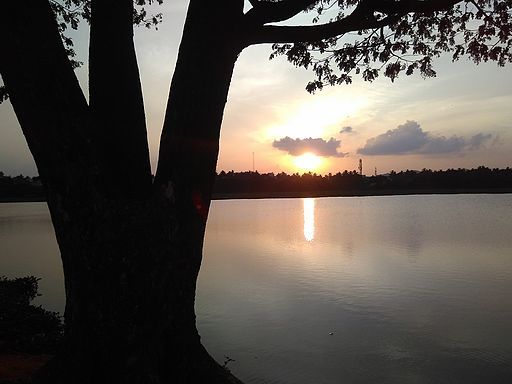 Chitlapakkam-lake-chennai-5-r