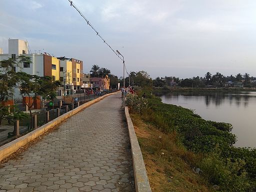 Chitlapakkam-lake-chennai-6-r