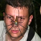 Matja_Gregoric
