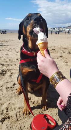 12987229_10209506937334764_2623199530910721039_n