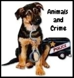  photo da3deda6-89b6-4b83-89d9-b451e9d5f0c5_zpsjvud7rju.jpg