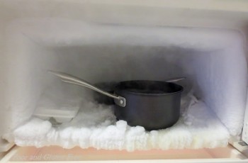 freezer frost2
