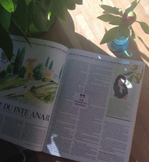 Fina Anna Jansson har specialskrivit en novell.