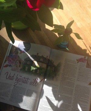 Och en romance-författare i vardande har skrivit en mini-följis som utspelar sig på 1800-talet. Kul!