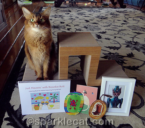 Somali cat with prizes from dashkitten blogoversary giveaway
