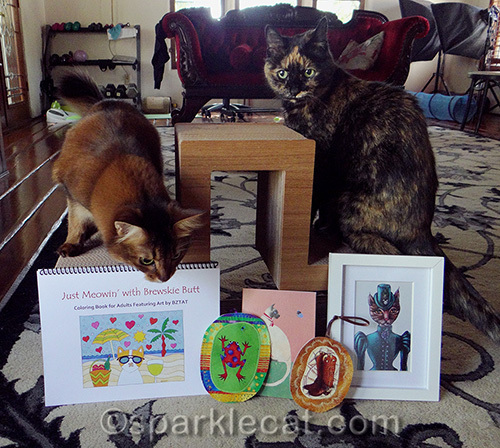 somali cat and tortoiseshell cat with DashKitten prizes