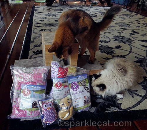 somali cat and ragdoll cat enjoy the still-wrapped Bavarian cat toys