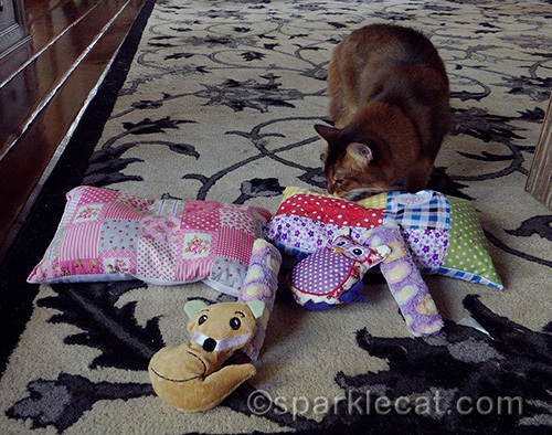 Somali cat sniffing Bavarian Cat toys