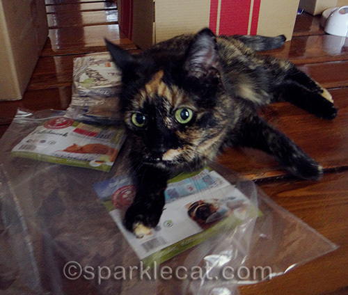 tortoiseshell cat high on valerian root