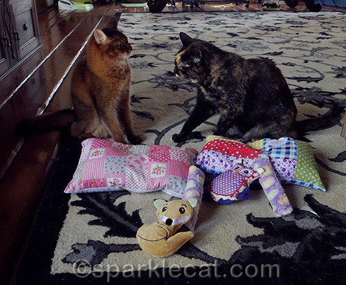 somali cat and tortoiseshell cat fighting over Bavarian Cat Toys