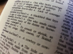 dictionary