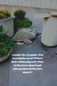 Photograph of a discarded dolphin toy.