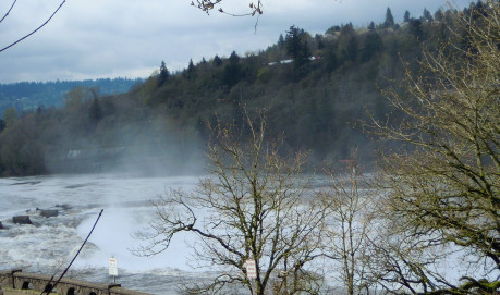 Willamette Falls (2)