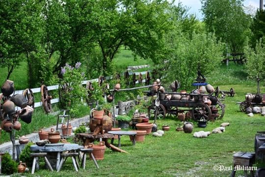 potter's yard