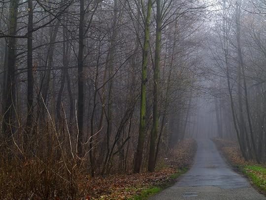 How to Navigate Life's Hardships