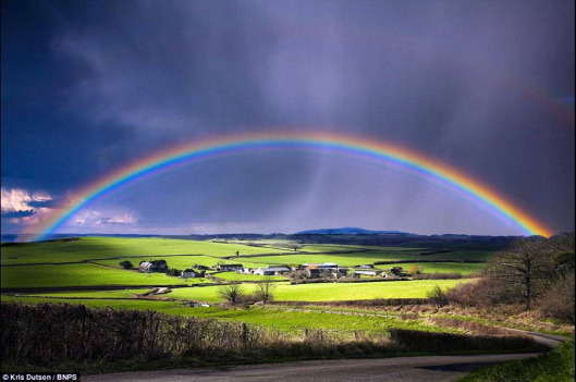 Rainbow4