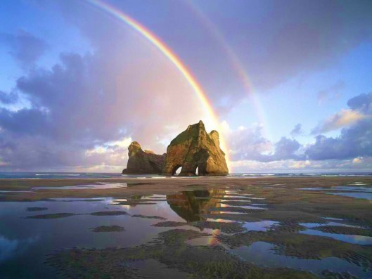 Rainbow5