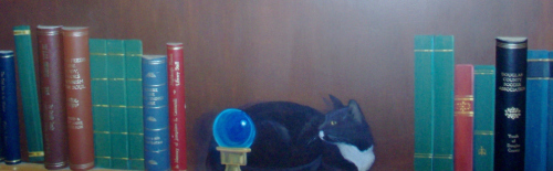 cat&books 