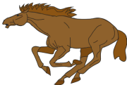 horse_1