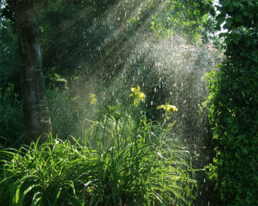 Rain4