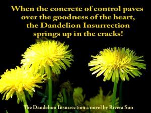 DandelionsSpringUP