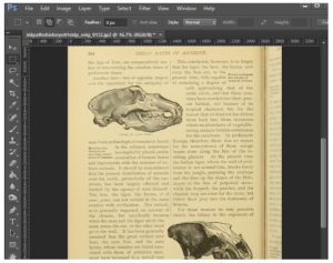 Screen Shot 2016-05-02 at 9.56.55 AM