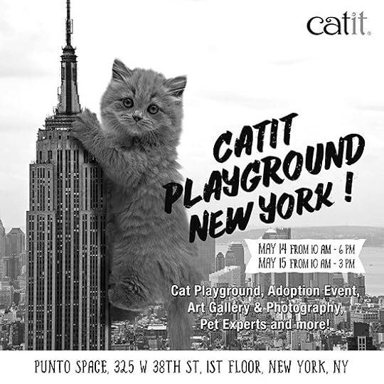 Catit-Playground-New-York