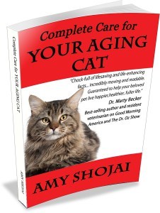 Complete Care for Your Aging Cat