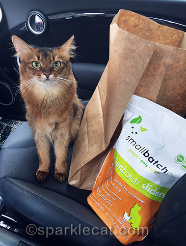 somali cat with bag of small batch raw cat food