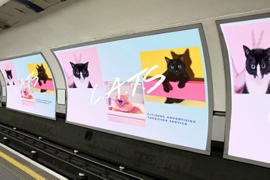 subway-cats
