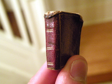 tinybooklukesiemensflickr