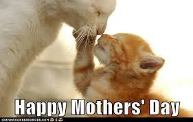 mother's day