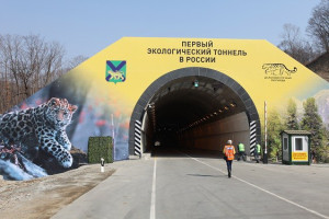 Narvinskii Pass tunnel