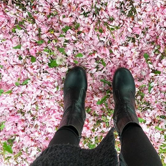 13116544_673911272746963_293745933_n