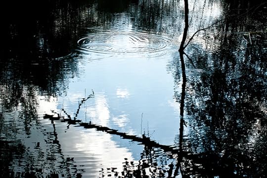 image CC by Rudy Salakory