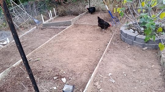 photo 20160507_160037_zps8v4wzlkl.jpg