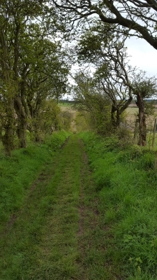 Cuthberts Way