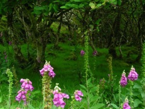 5213_102312613112762_100000020711173_66741_8208984_n