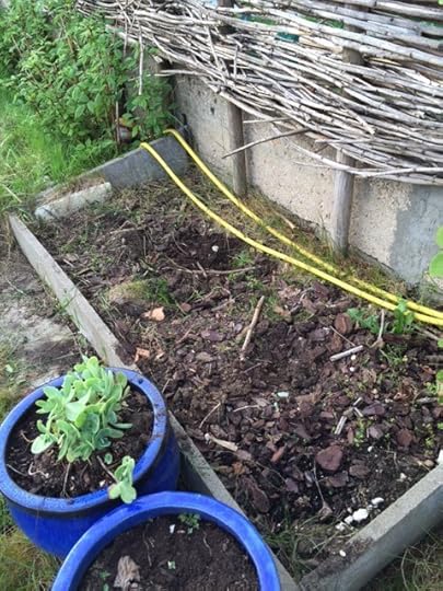 garden 1
