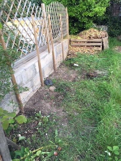 garden 2
