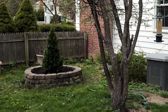 The Queen Emmy Memorial Shrub.